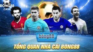 Cá cược viva bong88 – Thiên đường giải trí trực tuyến